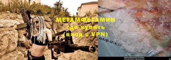шишки Бородино