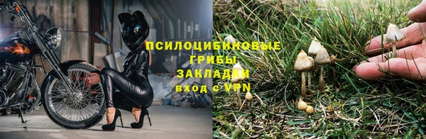 а пвп мука Богданович