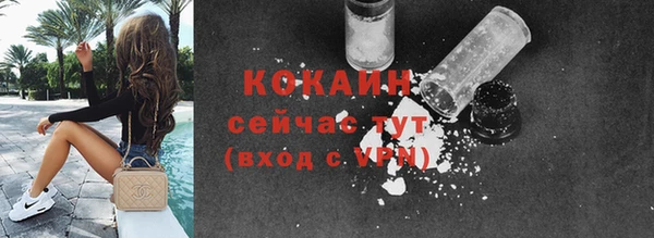 шишки Бородино