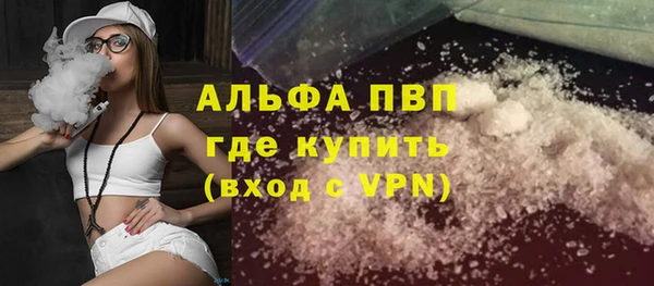 шишки Бородино