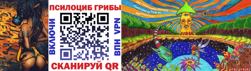 Галлюциногенные грибы мицелий  Гатчина 