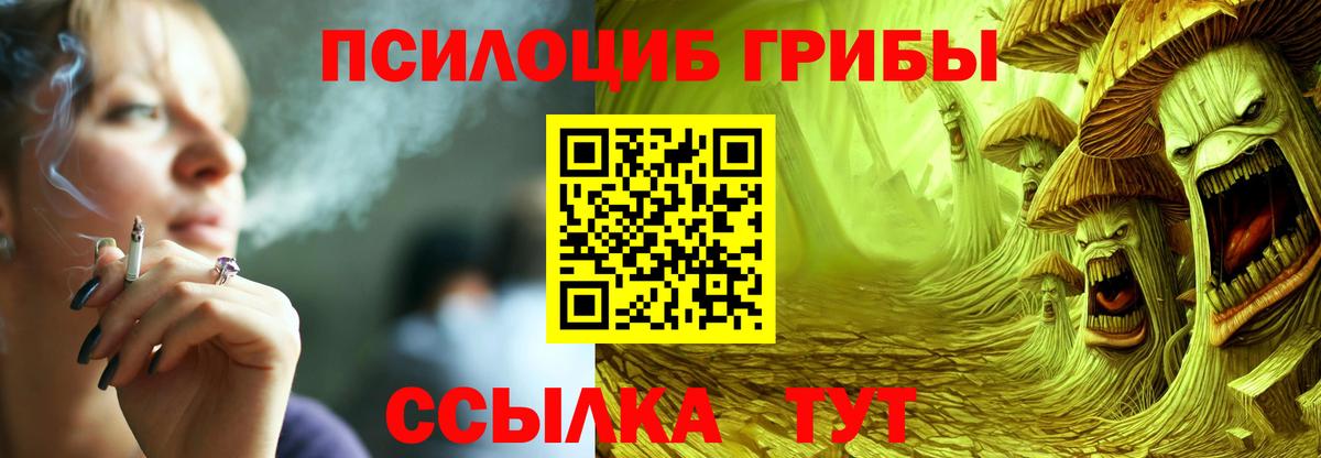 Гатчина  Псилоцибиновые грибы GOLDEN TEACHER  продажа наркотиков  Вход с VPN  Галлюциногенные грибы GOLDEN TEACHER 