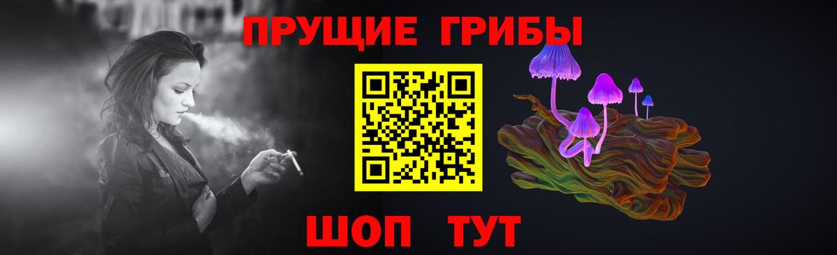 Псилоцибиновые грибы Cubensis Гатчина